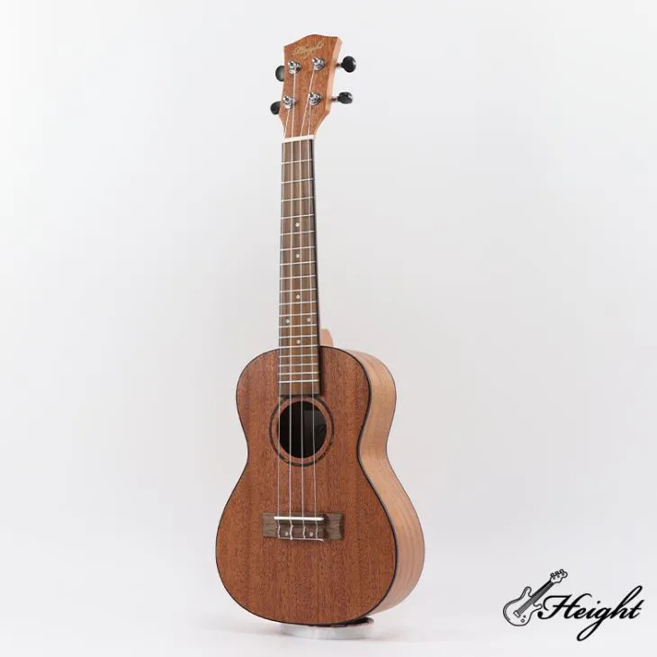 Ukulele miliónov snov